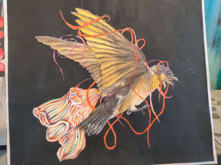 A hummingbird in flight