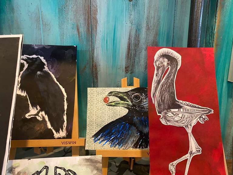 close up paintings of birds