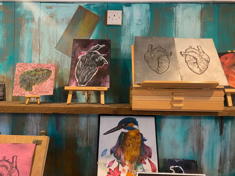 A kingfisher painting