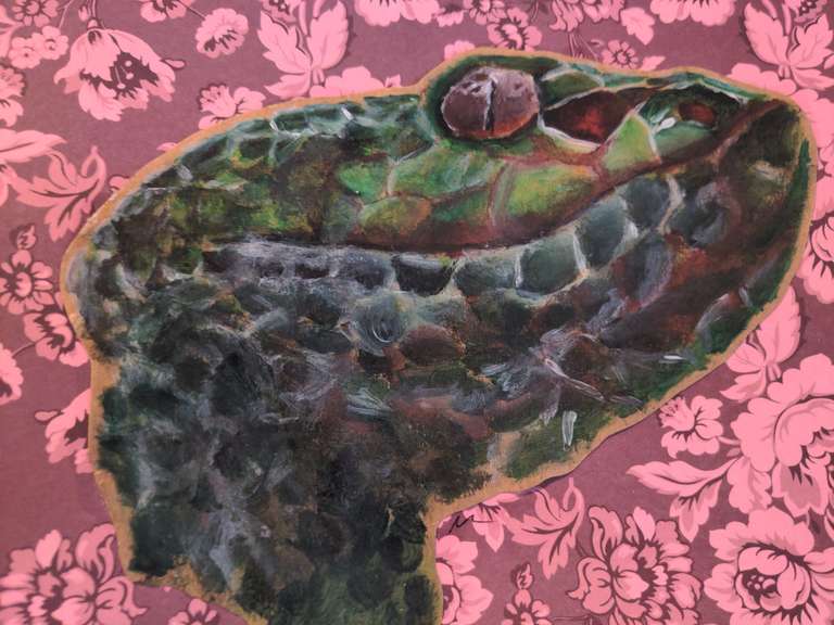 A snake's head on pink background