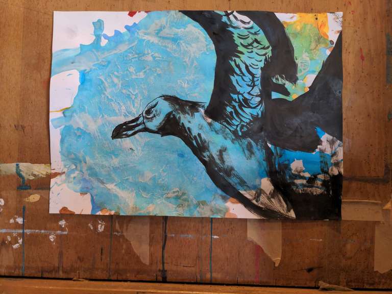 A cool seagull drawing
