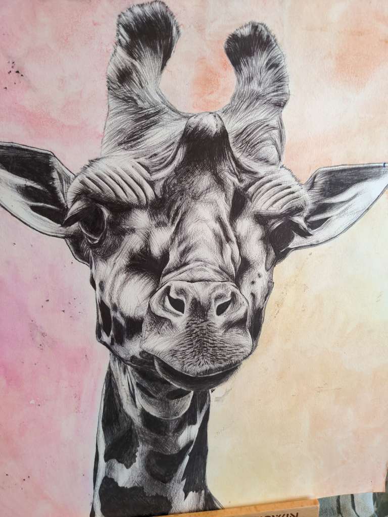 A black and white giraffe
