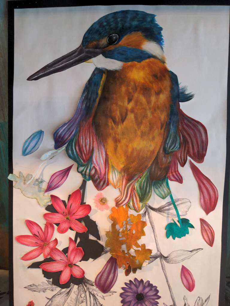 A kingfisher
